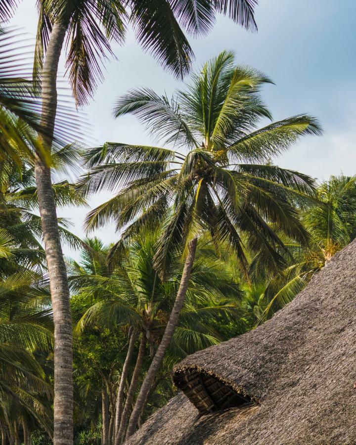 Diani Sea Lodge Diani Beach Kültér fotó